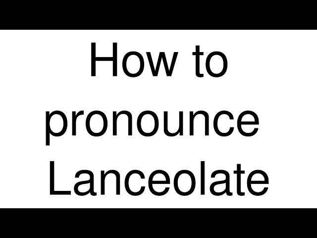 How to Pronounce correctly Lanceolate