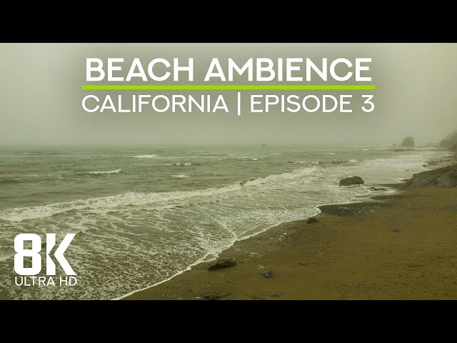 Beach Soundscape of the Pacific Ocean - 8K Scenic View to Enderts Beach, California - Episode 3