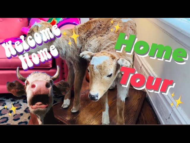 “Welcome Home” | HOME TOUR | PERSONAL COLLECTION | VINTAGE TREASURES | ANTIQUES AND ODDITIES