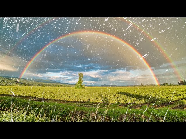 Somewhere Over The Rainbow - Aselin Debison (  (Letra Lyrics  Sub English/Spanish - Español/Inglés)