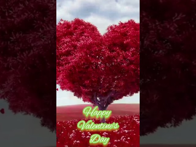 happy valentine's day status/happy valentine's day WhatsApp status/14 February 2022 Monday