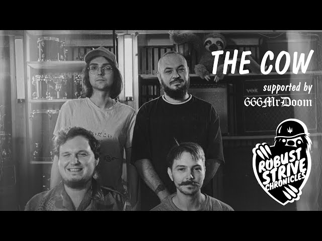 THE COW ||| Robust Strive Chronicles