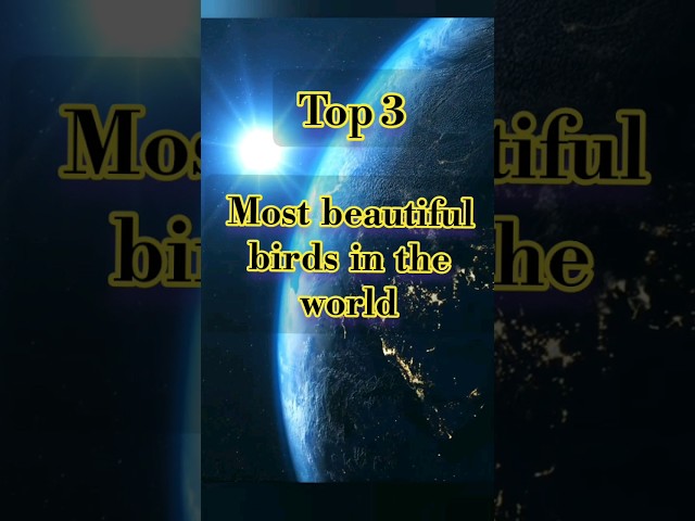 Top 3 most beautiful birds in the world 🌎/most beautiful birds 😍#birdslover #birds #beautiful