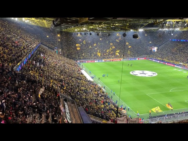 On The Road With Lee Davey: A PSG Fan's View of Dortmund's Notorious Yellow Wall