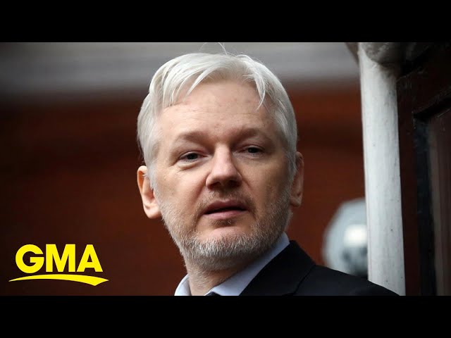 Julian Assange agrees to plead guilty