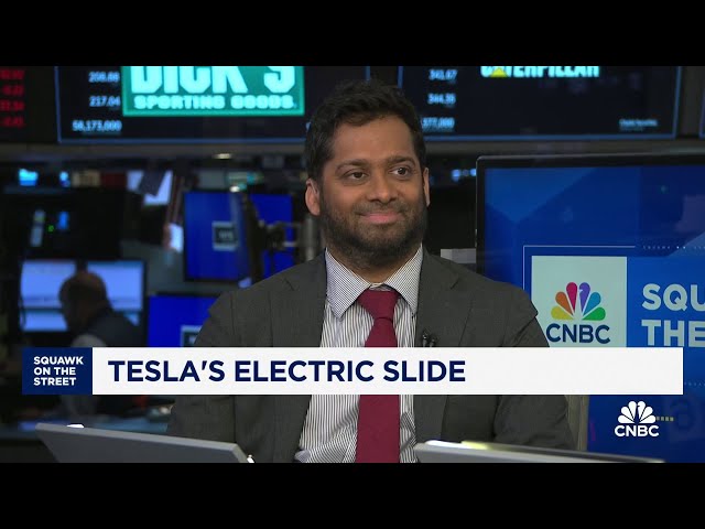Tesla's next vehicle will be the growth catalyst for the company, says RBC's Tom Narayan