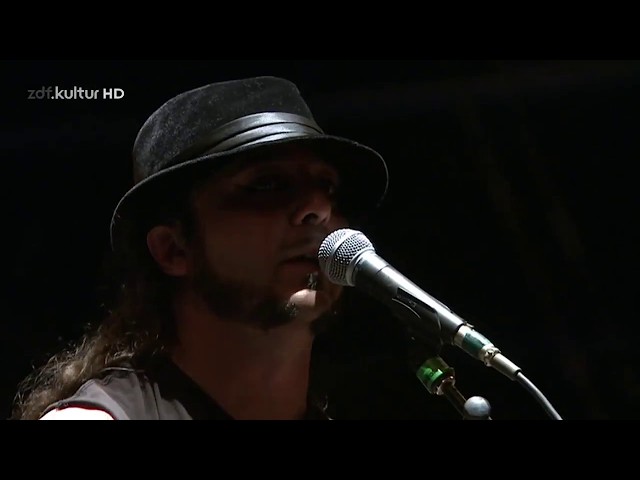Many Toxicity from Daron. SYSTEM OF A DOWN.