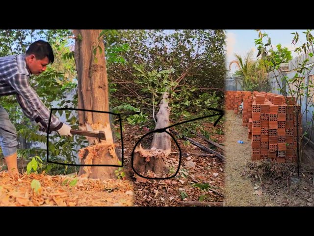 Build a new cement home for my family, be powerful to cut down the tree #002