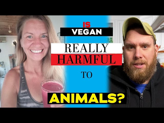 Interview NUMBER 2 with an EX CARNIVORE | VEGAN | CARNIVORE