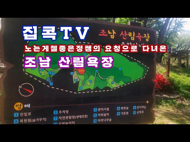 [집콕TV]조남 산림욕장