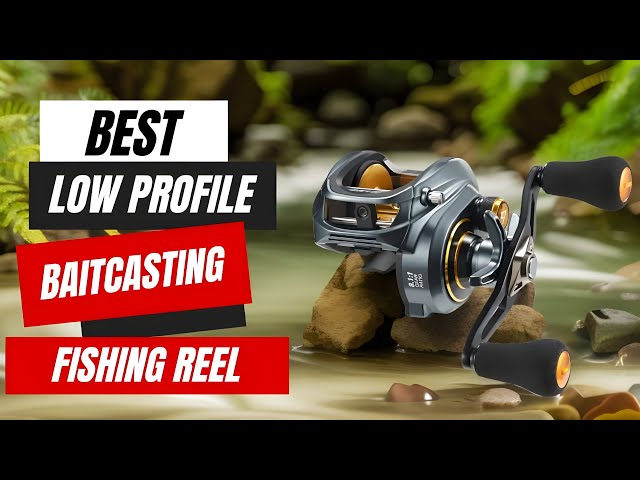 Best Low Profile Baitcasting Fishing Reels | Ultimate Top 5 Picks!
