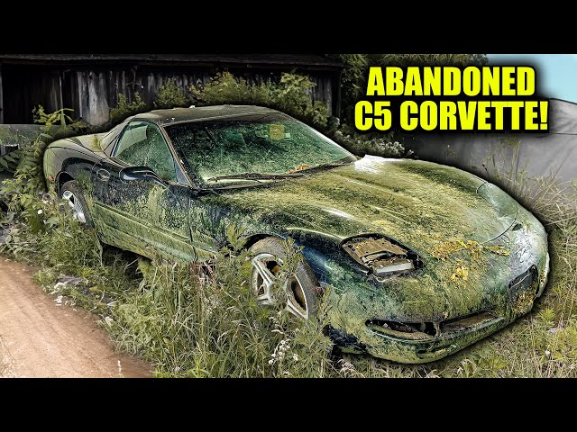 First Wash in 12 Years: ABANDONED C5 Corvette | Car Detailing Restoration