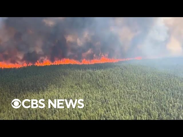 Videos, satellite images capture Canada wildfires raging across provinces