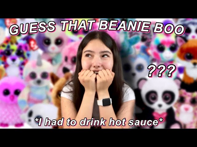 INTENSE GUESS THAT BEANIE BOO CHALLENGE (ft. my friend)