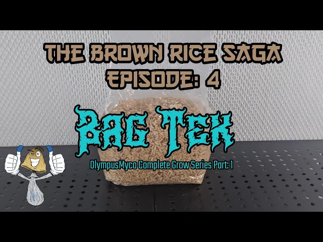 Brown Rice Saga Episode: 4 | Complete BagTek How To | OlympusMyco Grow Series | #mycology #howto