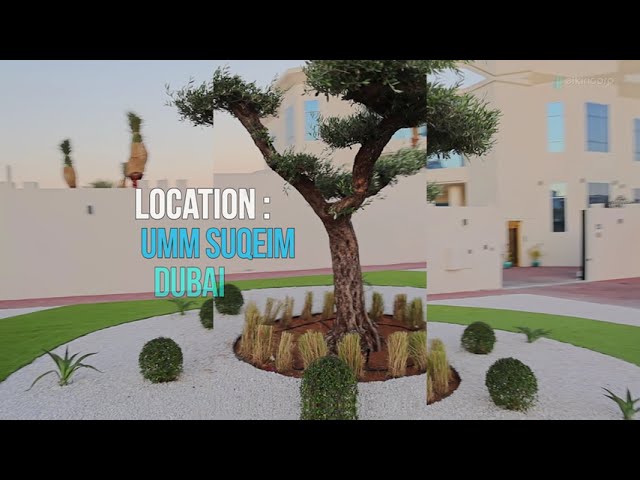 Revolutionize Your Outdoor Space with Expert Garden Renovation in Dubai | Elkin Corp