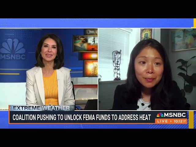 Jean Su MSNBC Interview on FEMA Extreme Heat Petition