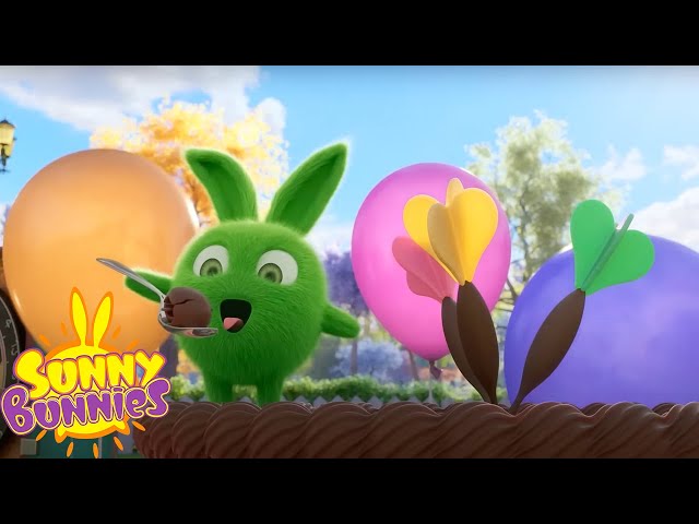 SUNNY BUNNIES COMPILATIONS - CHOCOLATE CAKE SURPRISE! | Cartoons for Kids