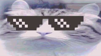 (For @KCNAUTTP) All Parodies Preview 1982Shiny Komaru The Cat