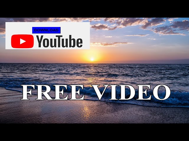 Free Stock Footage Sea Beach People