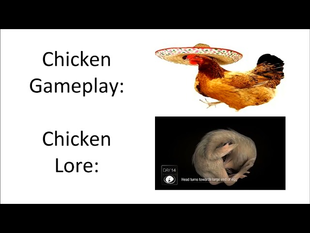 Chicken Lore