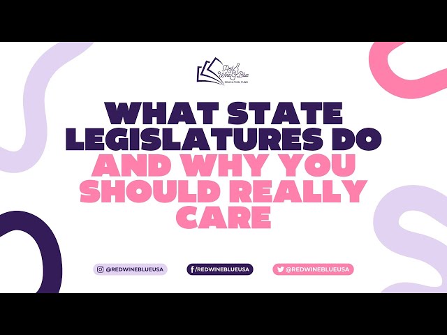 What State Legislatures Do And Why You Should Really Care