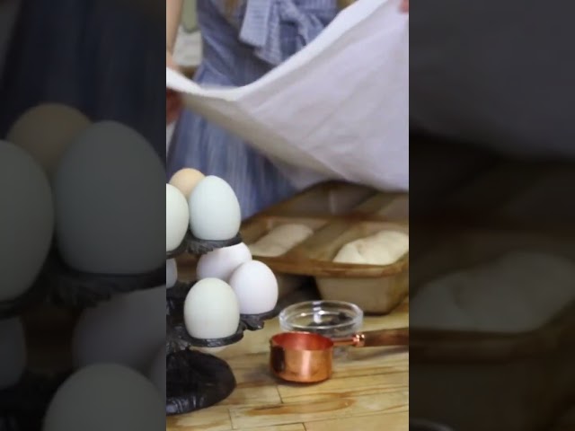 Farmhouse Homemaking Vlog | Homemaker Lifestyle