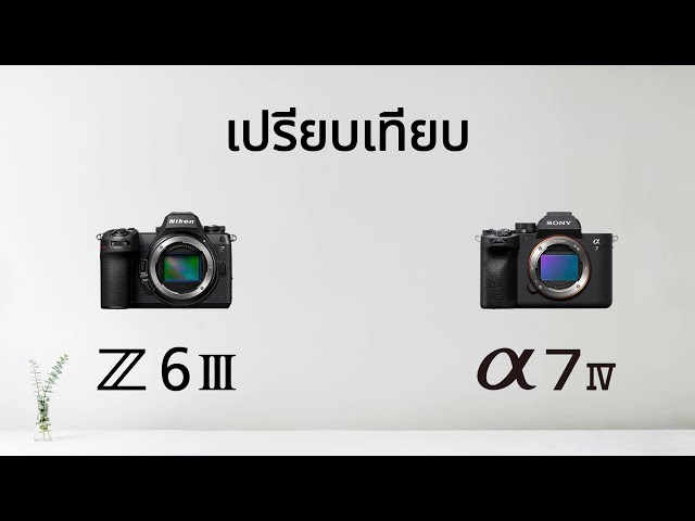 Nikon Z6 III เปรียบเทียบ Sony Alpha 7 IV
