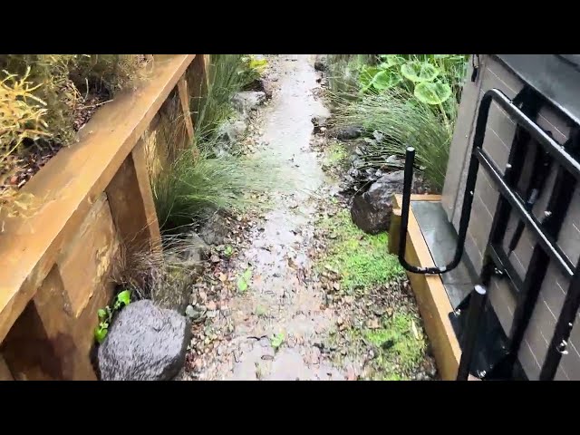 4K Video - Auckland Swale Drain In Action