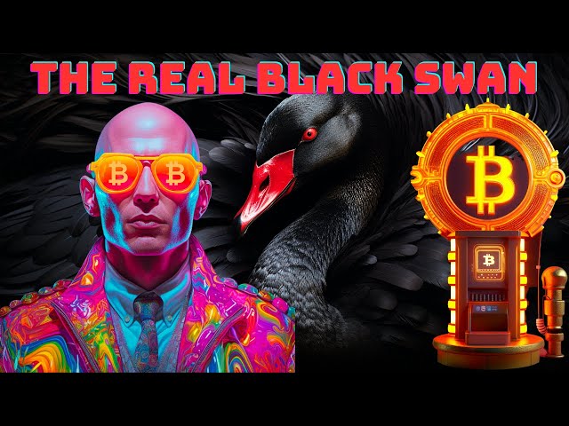Bitcoin & The Real Black Swan