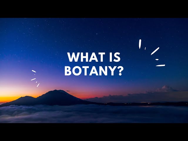 What Is Botany?