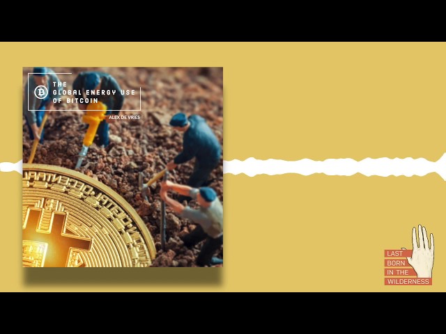 Alex de Vries: The Global Energy Use Of Bitcoin