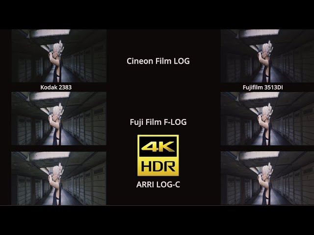 Comparing Davinci Resolve's Film Emulation LUTs using different LOG profiles. 4k HDR