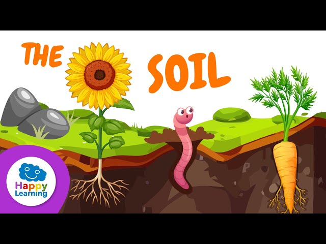 THE SOIL | FUN FACTS FOR KIDS | Happy Learning 🌍🪱🌱