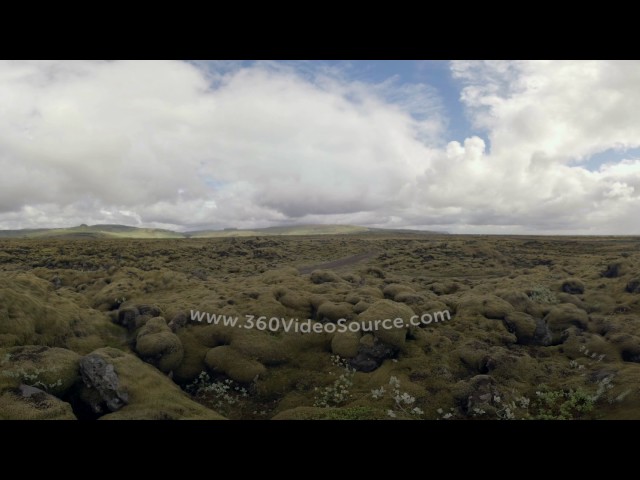 Iceland Moss watermarked injected