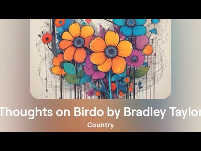 Thoughts on Birdo by Bradley Taylor