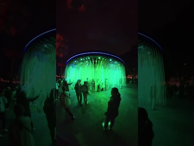 Vivid Sydney - with Shane and Nick