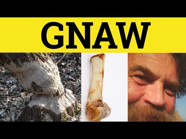 🔵 Gnaw Meaning - Gnaw At Examples - Gnaw Away Definition  - Gnaw Away At  Explained - Phrasal Verbs