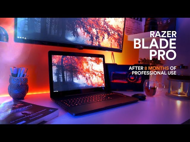 Razer Blade Pro 4K 1TB 2017. 8 MONTHS LATER REVIEW
