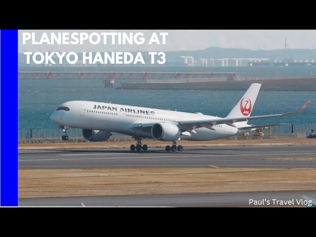 Plane spotting at Tokyo Haneda International Airport Terminal 3