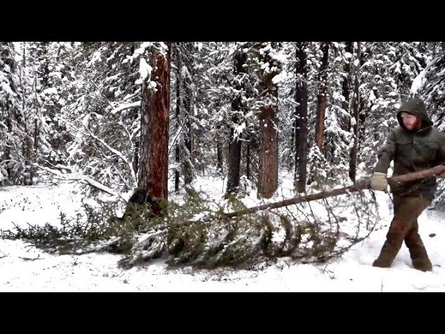 solo camping and Bushcrafting in heavy snow #bushcraft #camping