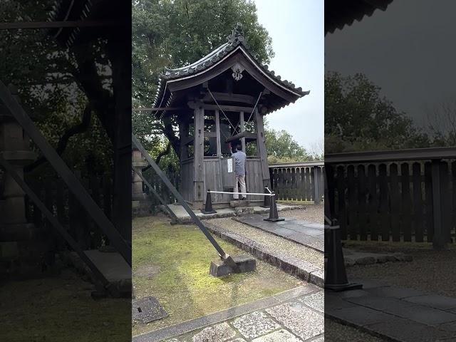 At Kofuku-ji Temple Japan | Travel 2023 | MT