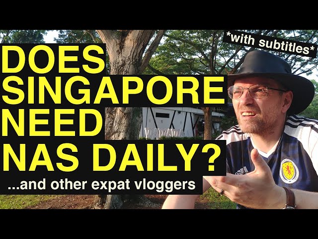Does Singapore NEED Nas Daily? (and other expat vloggers)