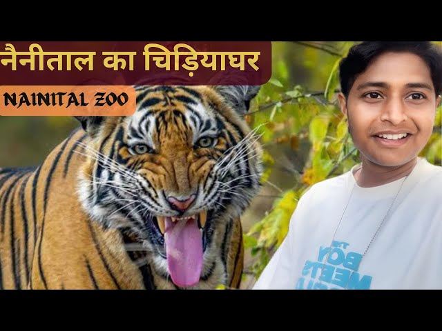Real TIGER se mil liya aaj toh🐯| Nainital zoo |Nainital ka Chidhiya ghar | Nainital Tourist places