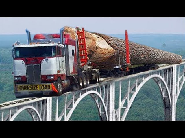 Dangerous Fastest Skills Chainsaw Tree Felling, Biggest Logging Wood Truck and Wood Sawmill Machines