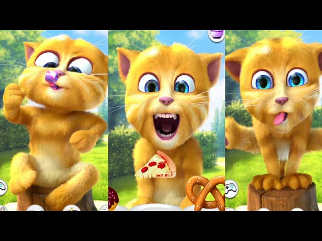 new funny video talking ginger funny 😹 cat | talking ginger 2 mod apk latest version #talkingtom