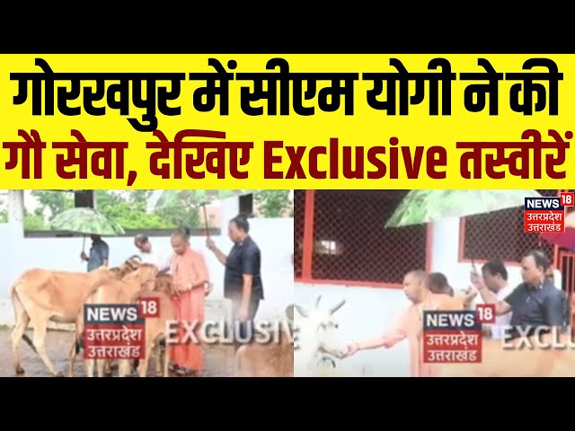 CM Yogi Gorakhpur Visit: गोरखपुर में सीएम योगी ने की गौ सेवा | Latest News | Hindi News | News 18 UP