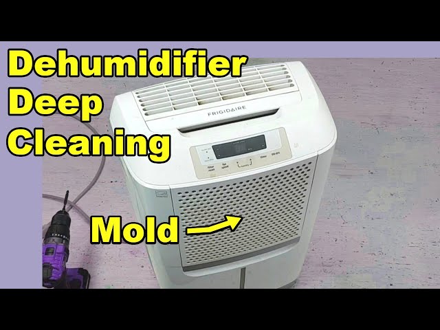 How I Cleaned a Dehumidifier - Deep Cleaning Moldy Coils, the Bucket, and the Filter