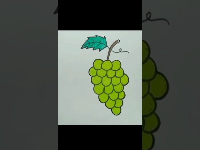 Grapes drawing for kids, Simple grapes drawing, Kids drawing"#viral #youtubeshorts #drawing #grape