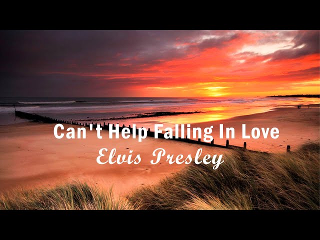 Elvis Presley - Can't Help Falling in Love (Music Lyrics)